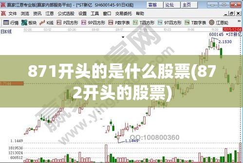 871开头的是什么股票(872开头的股票)