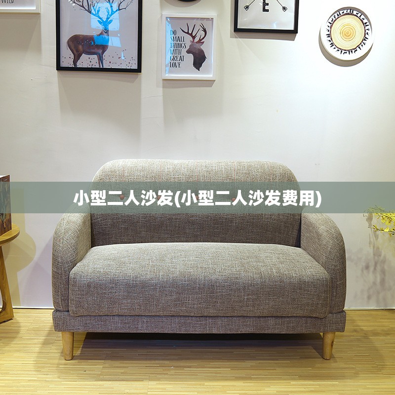 小型二人沙发(小型二人沙发费用)