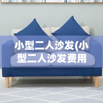 小型二人沙发(小型二人沙发费用)