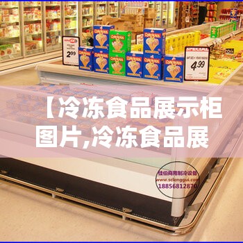 【冷冻食品展示柜图片,冷冻食品展示柜图片高清】 【冷冻食品展示柜图片,冷冻食品展示柜图片高清】