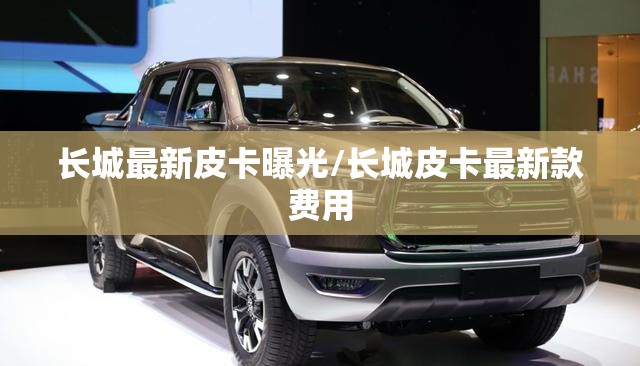 长城最新皮卡曝光/长城皮卡最新款费用