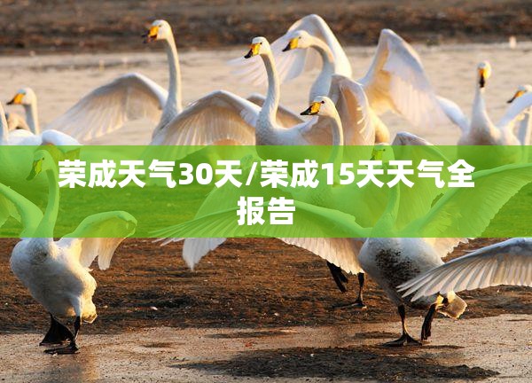 荣成天气30天/荣成15天天气全报告