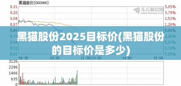 黑猫股份2025目标价(黑猫股份的目标价是多少)