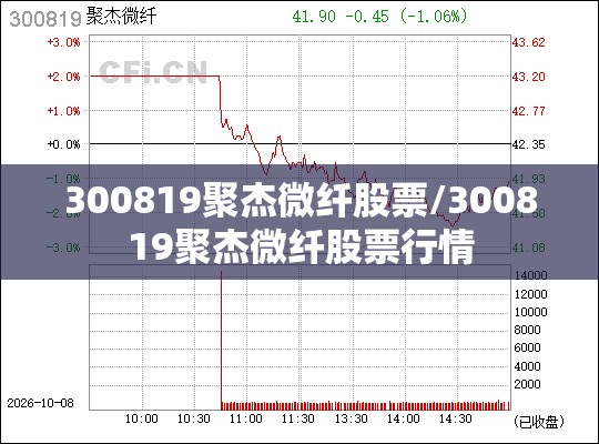 300819聚杰微纤股票/300819聚杰微纤股票行情