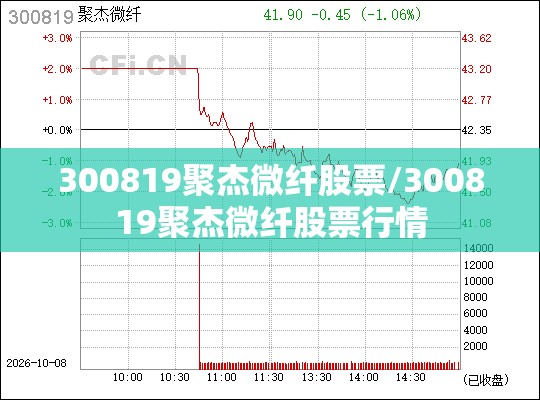 300819聚杰微纤股票/300819聚杰微纤股票行情
