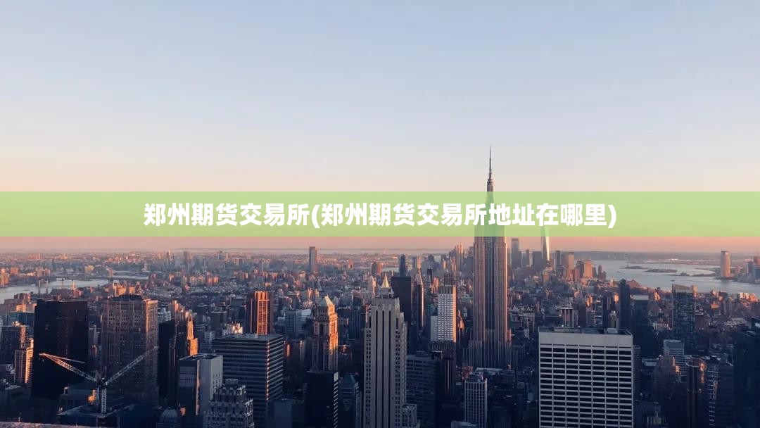 郑州期货交易所(郑州期货交易所地址在哪里) 郑州期货交易所(郑州期货交易所地址在哪里)