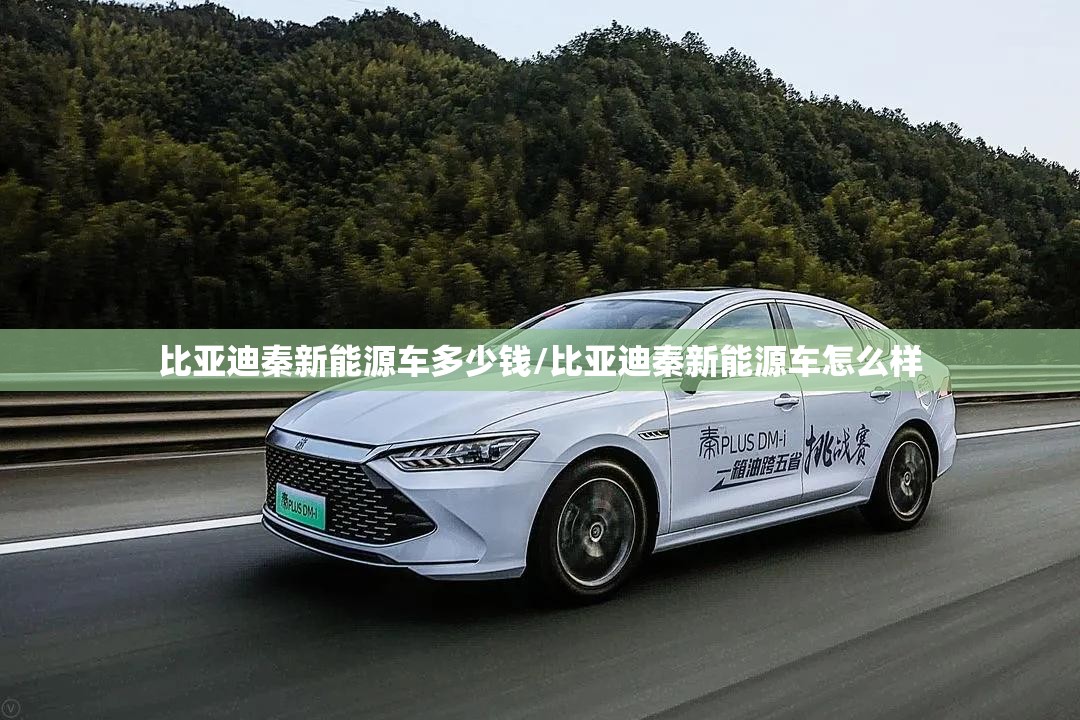比亚迪秦新能源车多少钱/比亚迪秦新能源车怎么样