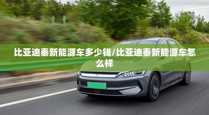 比亚迪秦新能源车多少钱/比亚迪秦新能源车怎么样