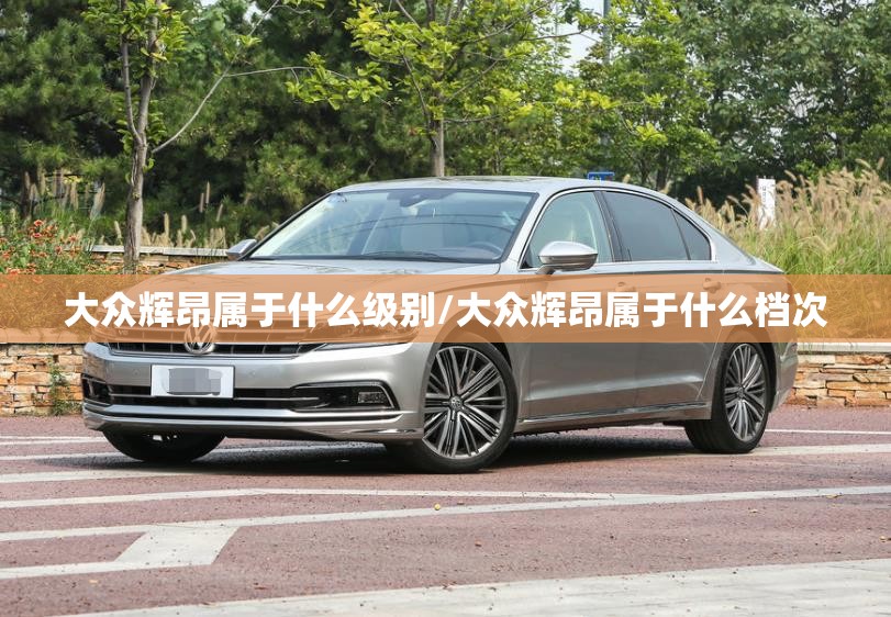 大众辉昂属于什么级别/大众辉昂属于什么档次