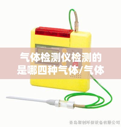 气体检测仪检测的是哪四种气体/气体检测仪可检测的有毒气体和可燃气体