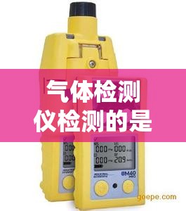气体检测仪检测的是哪四种气体/气体检测仪可检测的有毒气体和可燃气体