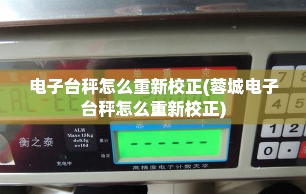 电子台秤怎么重新校正(蓉城电子台秤怎么重新校正)