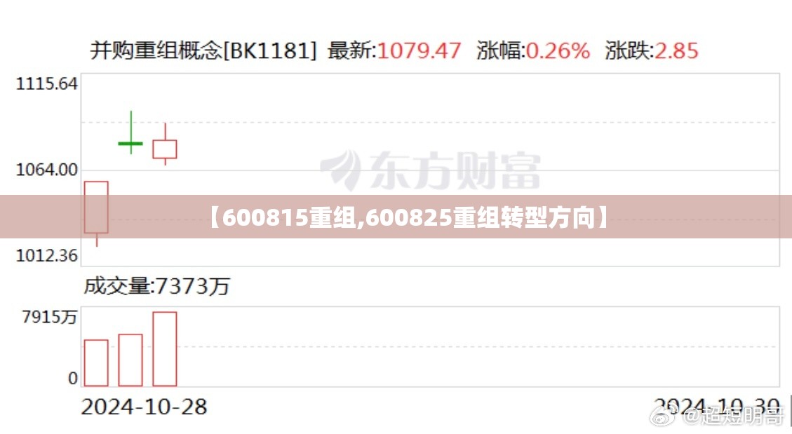 【600815重组,600825重组转型方向】