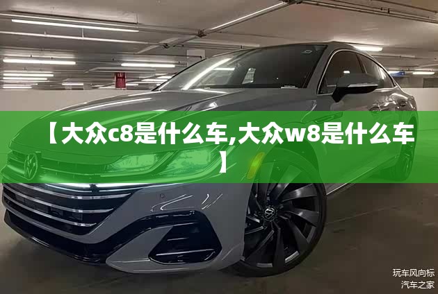 【大众c8是什么车,大众w8是什么车】