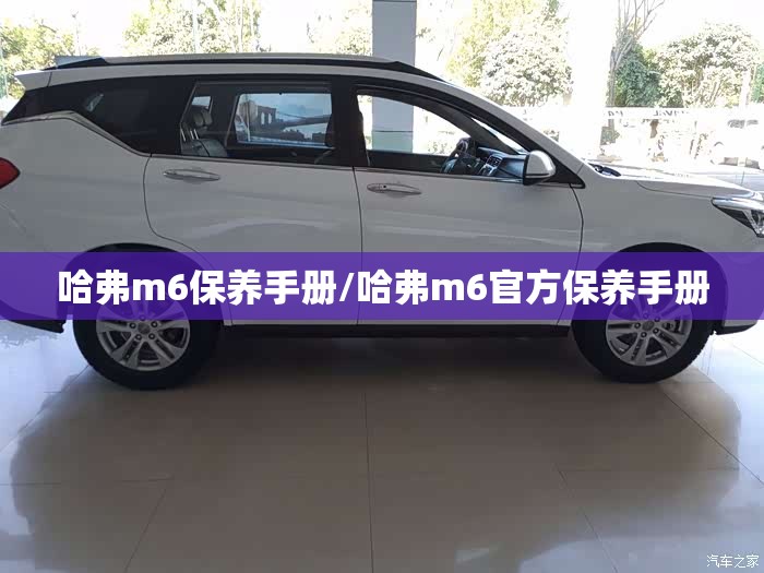 哈弗m6保养手册/哈弗m6官方保养手册