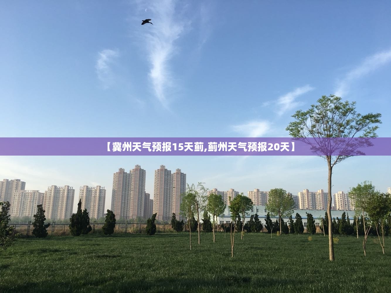 【冀州天气预报15天蓟,蓟州天气预报20天】