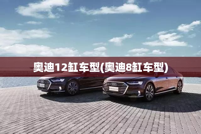 奥迪12缸车型(奥迪8缸车型)
