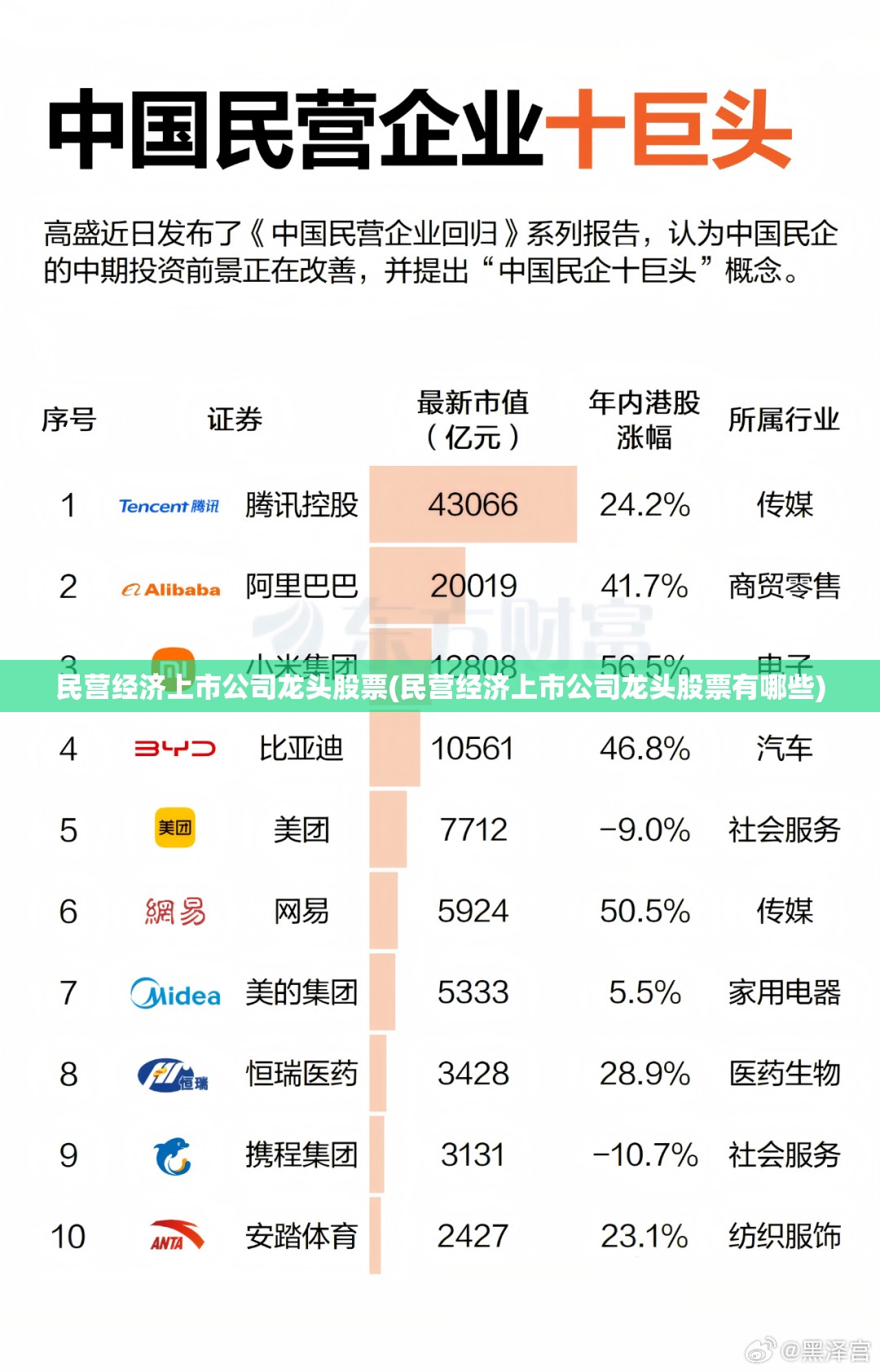 民营经济上市公司龙头股票(民营经济上市公司龙头股票有哪些)