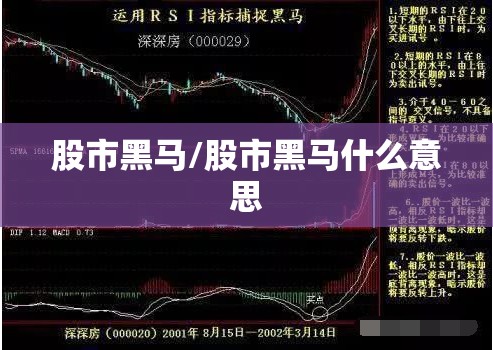 股市黑马/股市黑马什么意思