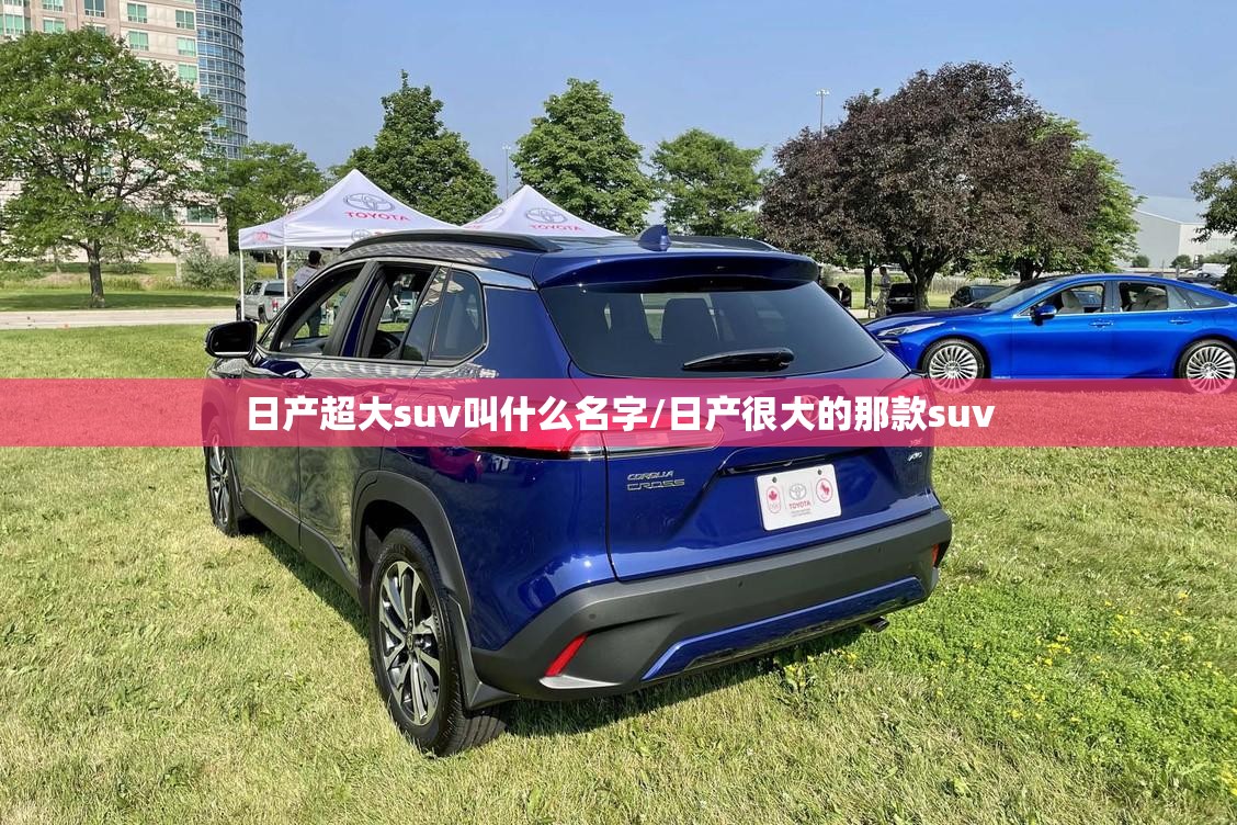 日产超大suv叫什么名字/日产很大的那款suv