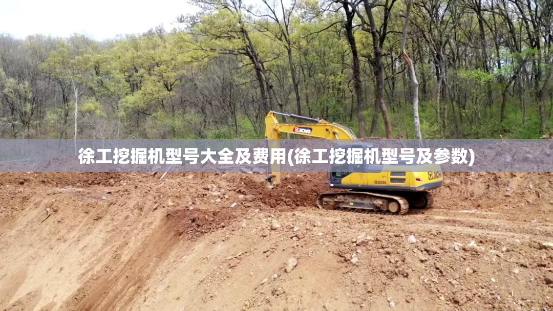 徐工挖掘机型号大全及费用(徐工挖掘机型号及参数)