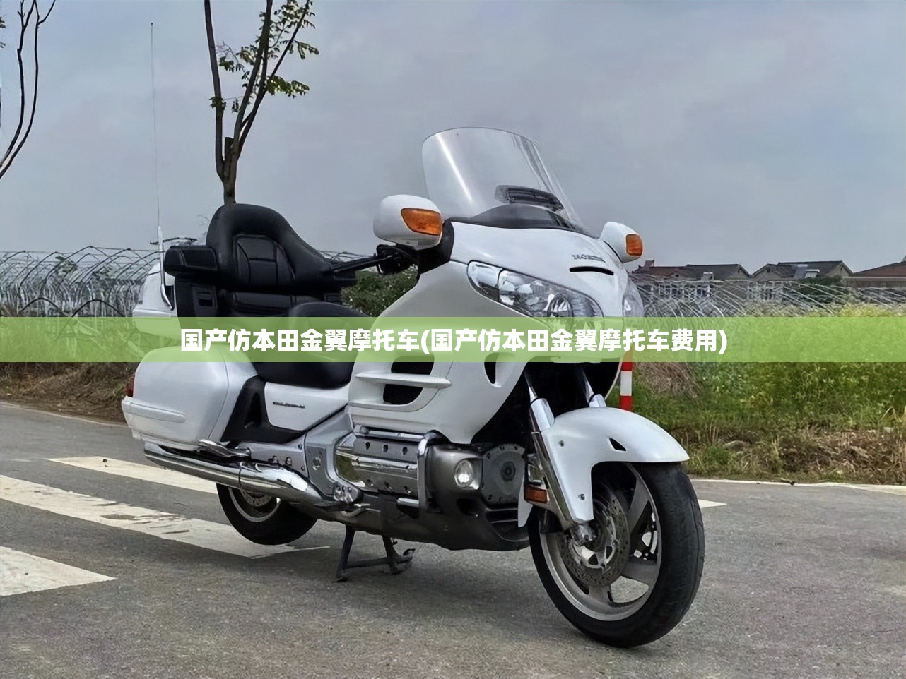 国产仿本田金翼摩托车(国产仿本田金翼摩托车费用)