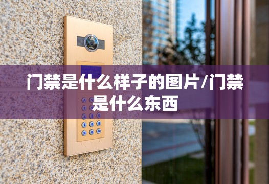 门禁是什么样子的图片/门禁是什么东西 门禁是什么样子的图片/门禁是什么东西