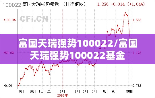 富国天瑞强势100022/富国天瑞强势100022基金