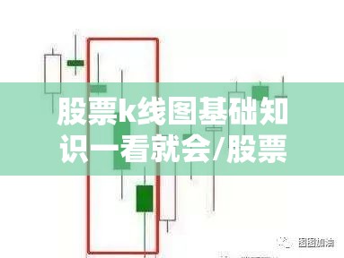 股票k线图基础知识一看就会/股票k线图的书籍