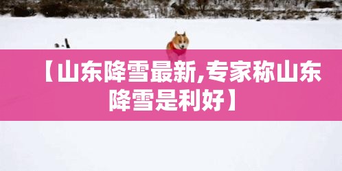 【山东降雪最新,专家称山东降雪是利好】
