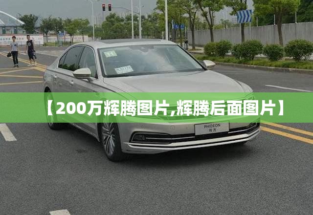 【200万辉腾图片,辉腾后面图片】