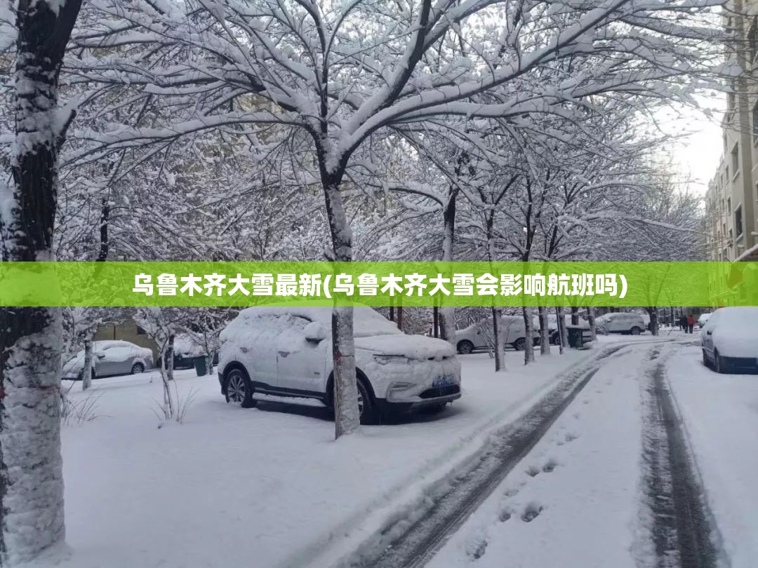 乌鲁木齐大雪最新(乌鲁木齐大雪会影响航班吗)