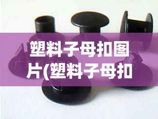塑料子母扣图片(塑料子母扣怎么解开)