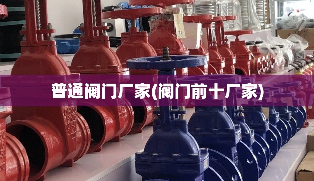 普通阀门厂家(阀门前十厂家)