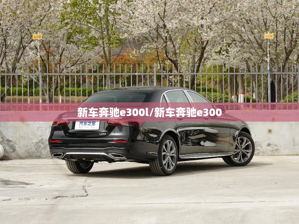 新车奔驰e300l/新车奔驰e300