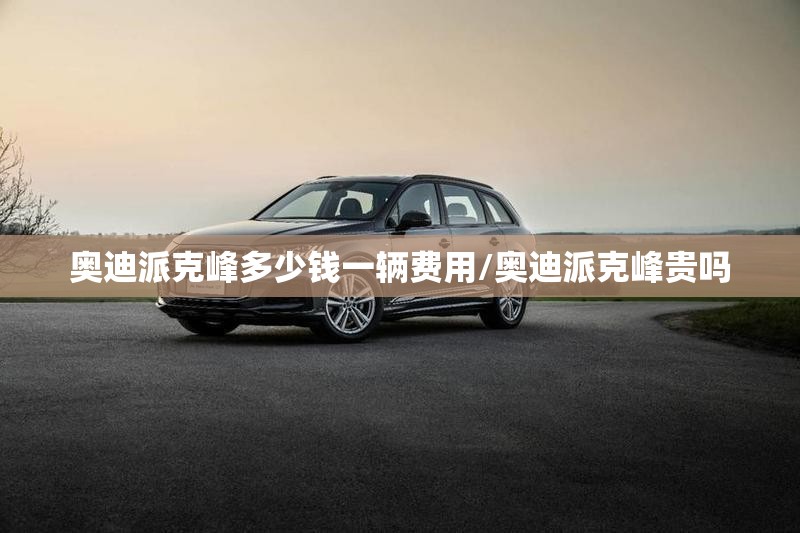 奥迪派克峰多少钱一辆费用/奥迪派克峰贵吗