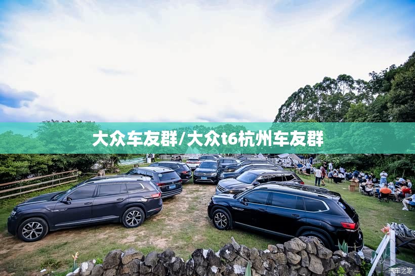 大众车友群/大众t6杭州车友群