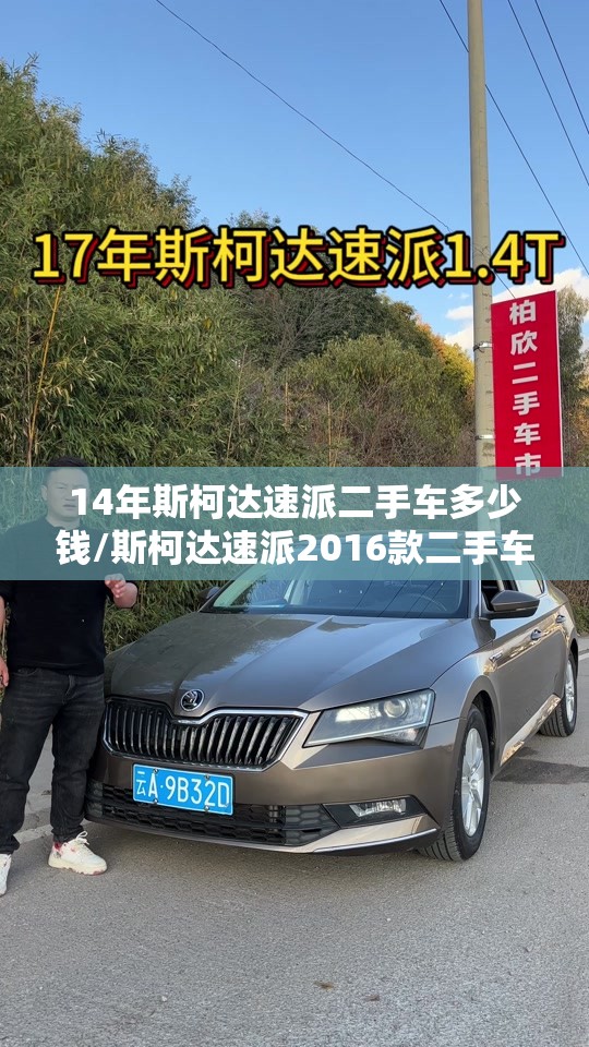 14年斯柯达速派二手车多少钱/斯柯达速派2016款二手车报价