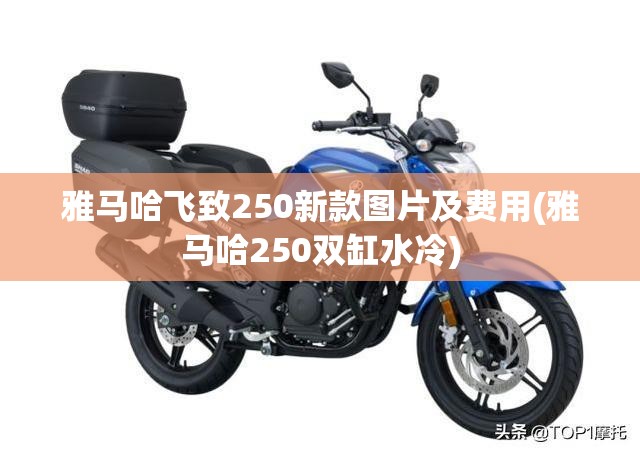 雅马哈飞致250新款图片及费用(雅马哈250双缸水冷)