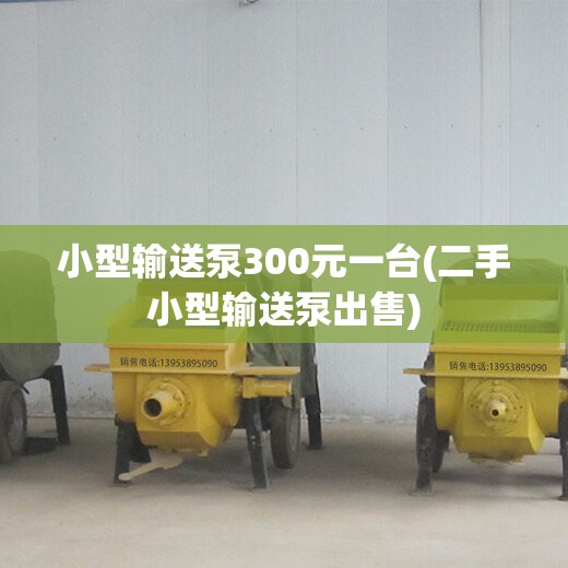 小型输送泵300元一台(二手小型输送泵出售)
