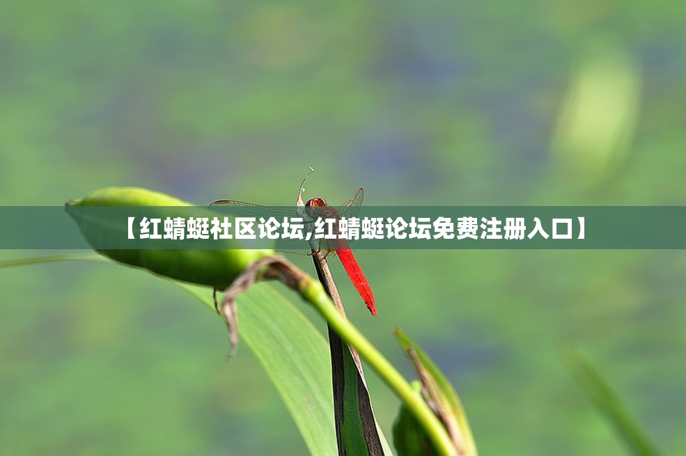 【红蜻蜓社区论坛,红蜻蜓论坛免费注册入口】 【红蜻蜓社区论坛,红蜻蜓论坛免费注册入口】