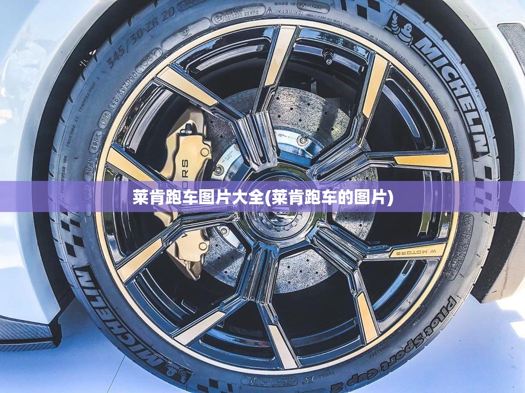 莱肯跑车图片大全(莱肯跑车的图片)