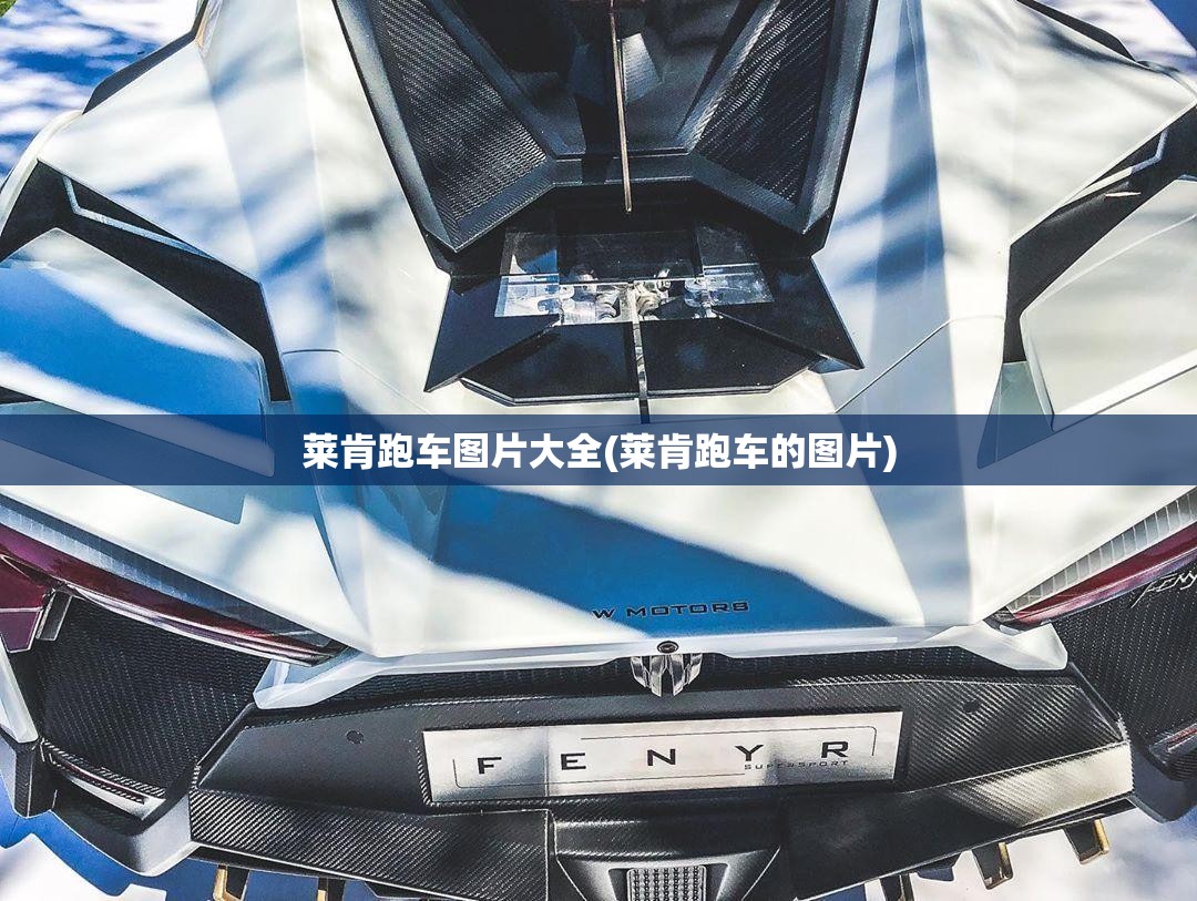 莱肯跑车图片大全(莱肯跑车的图片)