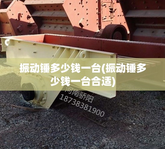振动锤多少钱一台(振动锤多少钱一台合适)