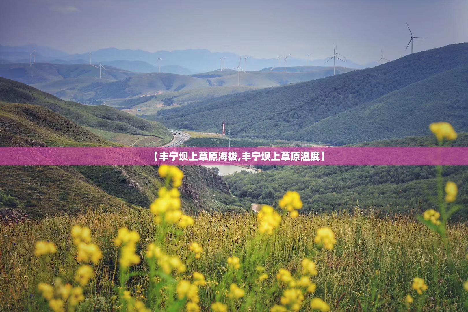 【丰宁坝上草原海拔,丰宁坝上草原温度】 【丰宁坝上草原海拔,丰宁坝上草原温度】