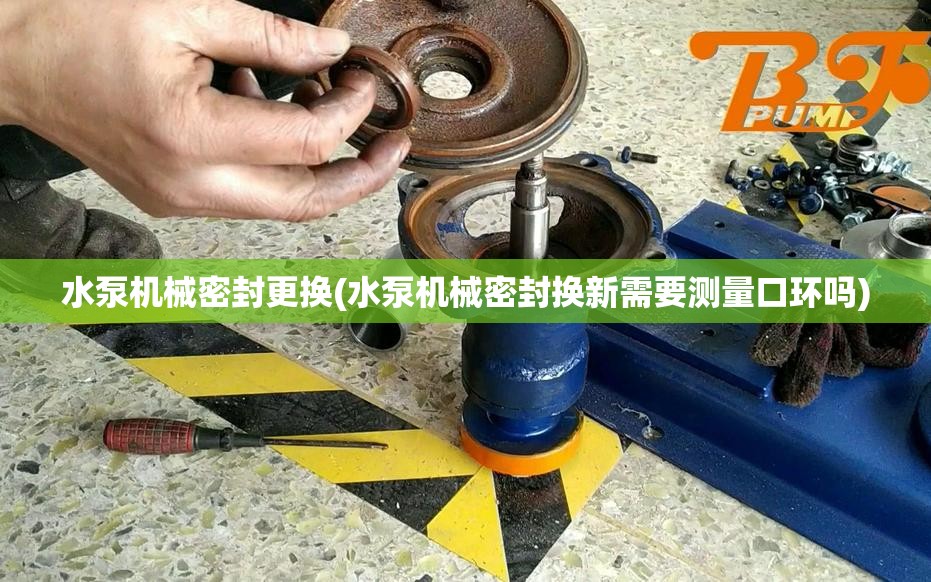 水泵机械密封更换(水泵机械密封换新需要测量口环吗) 水泵机械密封更换(水泵机械密封换新需要测量口环吗)
