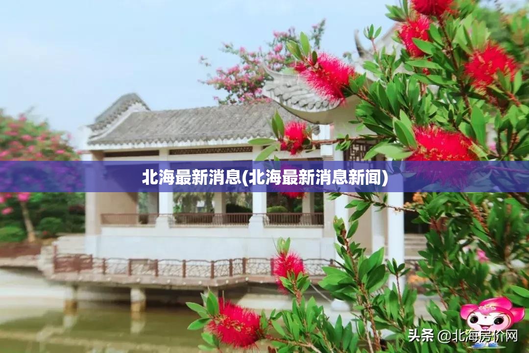 北海最新消息(北海最新消息新闻)