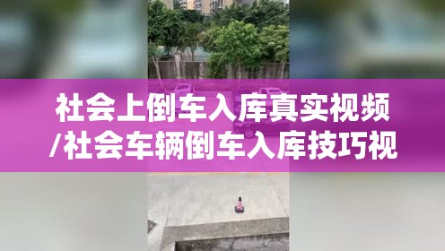 社会上倒车入库真实视频/社会车辆倒车入库技巧视频