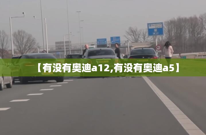 【有没有奥迪a12,有没有奥迪a5】