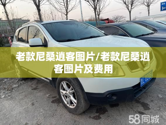 老款尼桑逍客图片/老款尼桑逍客图片及费用